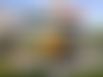 une pergola d'un coté, une véranda de l'autre