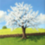 A blossoming tree with white flowers stands in a green field, a stone wall and clear blue sky in the background, creating a serene scene.