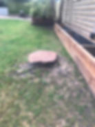 Tree stump left after a tree felling service of a eucalyptus tree.