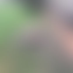 Tree Felling: Everything You Need to Know