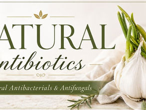 Natural Antibiotics Explained: Choosing the Right Remedy