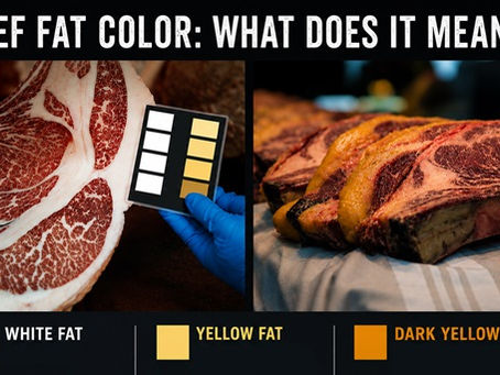 Why Is Some Beef Fat White While Other Beef Fat Is Yellow?