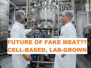Fake Food Series: Cell Based, Lab Cultivated Meat - Courtesy of Bill Gates and Richard Branson