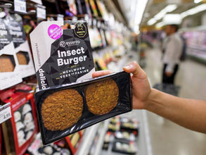 New Year, New Food Products! Insect Burgers???