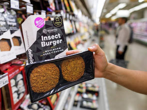 New Year, New Food Products! Insect Burgers???