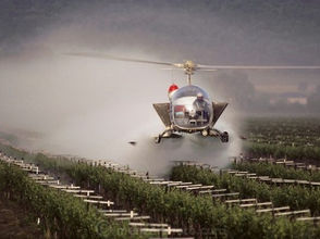 🍷 Glyphosate in American Wines: The Dirty Secret in Your Glass