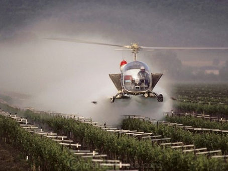 Opinion: Glyphosate in American Wines – A Hard Truth