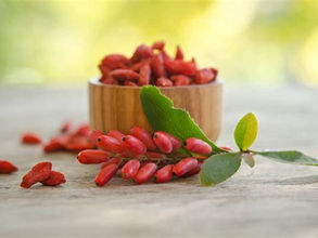 🩺 Berberine For Diabetes, Obesity, Inflammation, PCOS, Cancer? This Is What We Found Out!