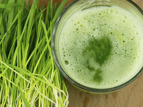 🌱 The Power of Wheatgrass: A Daily Superfood