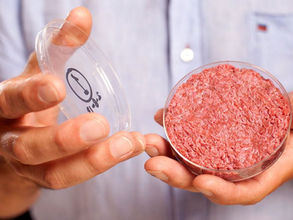 Fake Food Series: Wormburgers and the War on Real Food — A Manufactured Crisis?