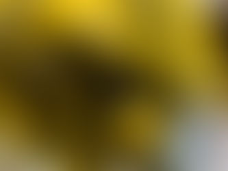 Summer Is The Best Time To Ferment & Can Dill Pickles