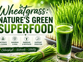 🌱 The Power of Wheatgrass: A Daily Superfood