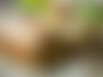 Kickstart Your Morning with Chef Janine's Ultimate Keto Breakfast Burrito