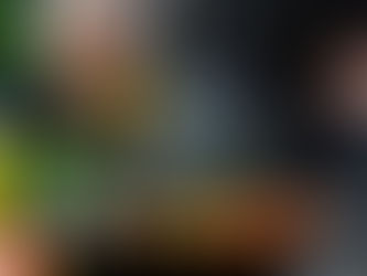 🥥 The Metabolic Health Series — Part IV: The Fat Guide