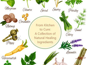 🌿 Powerful Herbs & Foods That Support Healing At The Root Level
