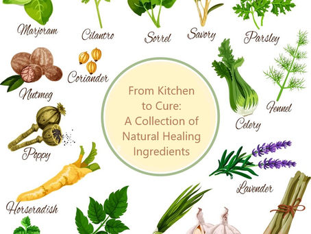 🌿 Powerful Herbs & Foods That Support Healing At The Root Level