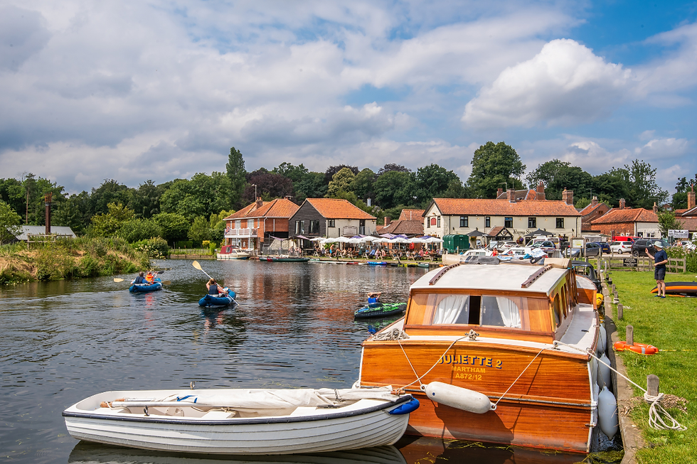 Dogs and their owners enjoying a boat trip on the Broads, where responsible pet care helps protect the waterways