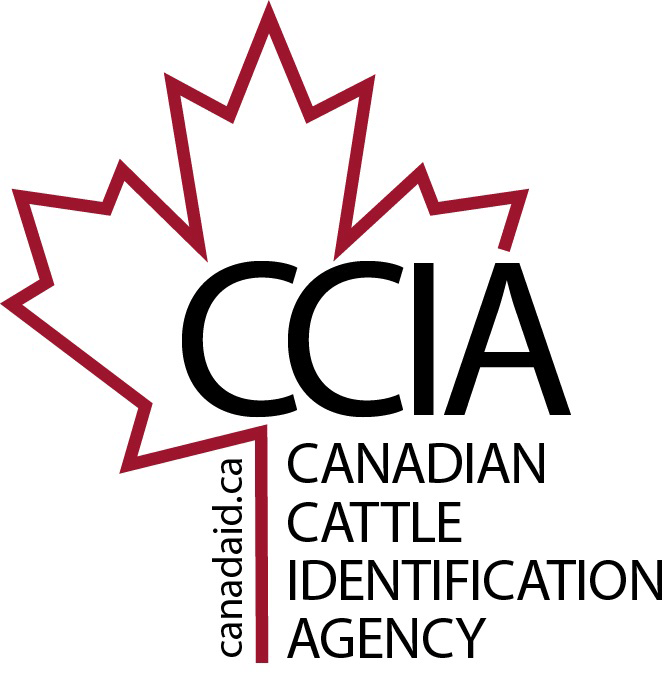 ccia_logo.gif