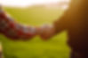 People shaking hands in a wheat field, farmer's agreement. Agricultural growth and farming