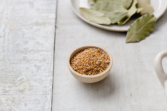 Tahini Style Alpiste Paste