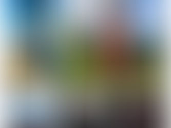 Retour de mes Voyages