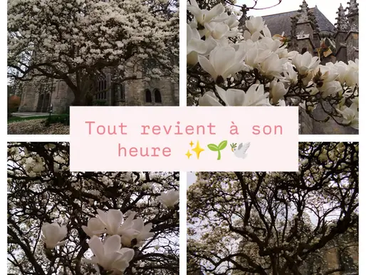 La Vie est une perpétuelle Renaissance