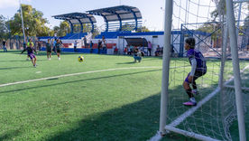 ¡ATENCIÓN!  LEY 2395 SIGUE VIGENTE: USO GRATUITO DE ESCENARIOS DEPORTIVOS PÚBLICOS EN VALLEDUPAR