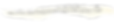 13.png