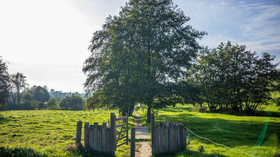 Muziekbos wandelroute, Ronse