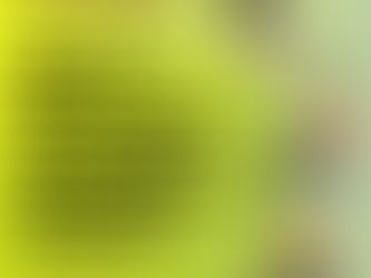 Manifesto eleitoral pelas pessoas com diversidade funcional