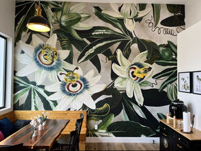 Exploring North County San Diego: 3 Gems on the Corner of Highway 101 and Daphne Street