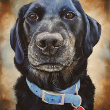 Charlie of The Human Rescuers