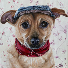 Portrait of a dog in a cap