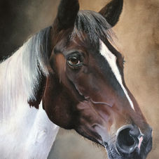 Horse Portrait acrylic on canvas