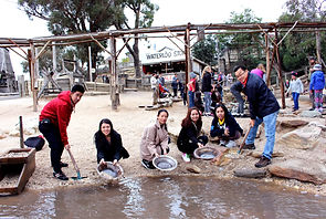 KK Melbourne tours, Melbourne Chinese Cantonese Day Tours, Melbourne day tour, Melbourne day tours, Melbourne Cantonese Tour, Philip Island, Melbourne day tour, Melbourne day tours, 墨爾本旅遊團, 澳洲墨爾本一日遊,