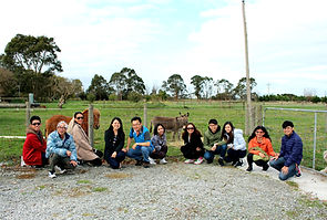 Melbourne Local tour, Melbourne Chinese Tour, Melbourne Chinese Day Tour, Melbourne Cantonese Day Tour, Melbourne Chinese Day Tour, Melbourne Chinese Tour, Melbourne day tour, Melbourne day tours, Melbourne Cantonese Tour, Puffing Billy, KK墨爾本旅遊團,