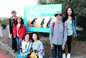 KK Melbourne tours, Melbourne Chinese Tour, Melbourne Chinese Day Tour, Melbourne Cantonese Day Tour, Melbourne day tour, Melbourne day tours, Melbourne Cantonese Tour, 墨爾本 local tour, Melbourne day tour, Melbourne day tours, Puffing Billy, KK墨爾本旅遊團,