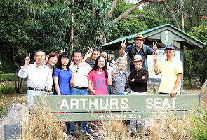 KK Melbourne tours, Melbourne Chinese Tour, Melbourne Chinese Day Tour, Melbourne day tour, Melbourne day tours, Puffing Billy, KK墨爾本旅遊團,