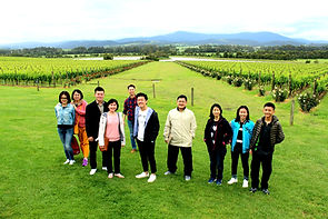 KK Melbourne tours, Melbourne Chinese Tour, Melbourne Chinese Day Tour, Melbourne Cantonese Day Tour, Melbourne Chinese Day Tour, Melbourne Chinese Tour, Philip Island, Melbourne day tour, Melbourne day tours, Puffing Billy, KK墨爾本旅遊團,