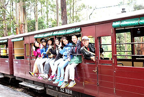 KK Melbourne tours, Philip Island, Melbourne day tour, Melbourne day tours, Puffing Billy, KK墨爾本旅遊團,