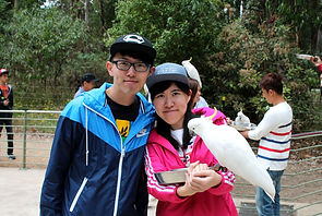 Melbourne Local tours, Melbourne Chinese Tour, Melbourne Chinese Day Tour, Melbourne Cantonese Day Tour, Melbourne Chinese Tour, Melbourne Chinese Day Tour, Melbourne day tour, Melbourne day tours, Puffing Billy, 墨爾本旅遊團,
