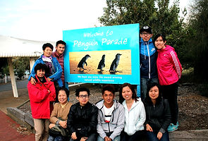Melbourne Local tour, Melbourne Chinese Tour, Melbourne Chinese Day Tour, Melbourne Cantonese Day Tour, Melbourne Local Tour, Melbourne day tour, Melbourne day tours, Puffing Billy, 墨爾本旅遊團,