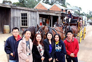 Melbourne Local tours, Melbourne Chinese Tour, Melbourne Chinese Day Tour, Melbourne Cantonese Day Tour, Melbourne Chinese Tour, Melbourne Chinese Day Tour, Melbourne day tour, Melbourne day tours, Puffing Billy, 墨爾本旅遊團,