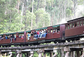 KK Melbourne tours, Philip Island, Melbourne day tour, Melbourne day tours, Puffing Billy, KK墨爾本旅遊團,
