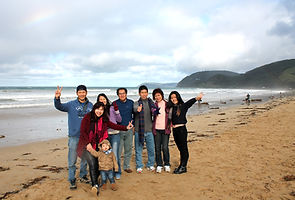 KK Melbourne tours, Philip Island, Melbourne day tour, Melbourne day tours, Puffing Billy, KK墨爾本旅遊團,