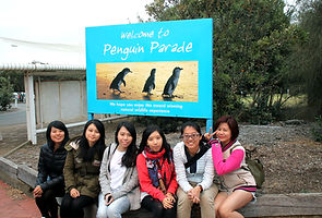 KK Melbourne tours, Melbourne Chinese Tour, Melbourne Chinese Day Tour, Melbourne Cantonese Day Tour, Melbourne day tour, Melbourne day tours, Melbourne Cantonese Tour, Philip Island, Melbourne day tour, Melbourne day tours, 墨爾本旅遊團,