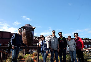 KK Melbourne tours, Philip Island, Melbourne day tour, Melbourne day tours, Puffing Billy, KK墨爾本旅遊團,