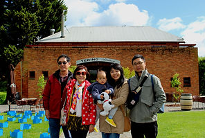 KK Melbourne tours, Melbourne Chinese Tour, Melbourne Chinese Day Tour, Melbourne Cantonese Day Tour, Melbourne day tour, Melbourne day tours, Melbourne Cantonese Tour, Philip Island, Melbourne day tour, Melbourne day tours, Puffing Billy, KK墨爾本旅遊團,