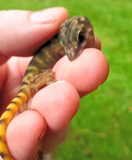 gaint caves1_edited.jpg