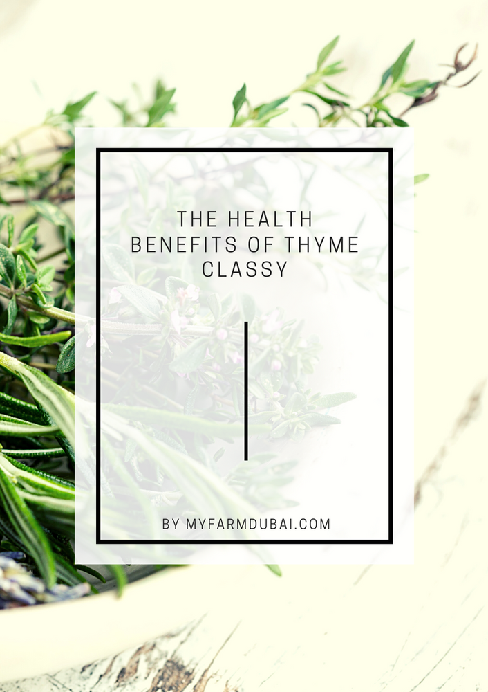 The health benefits of thyme